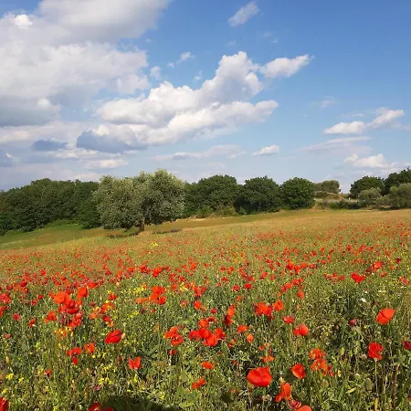 Shabby Chic House Daire *