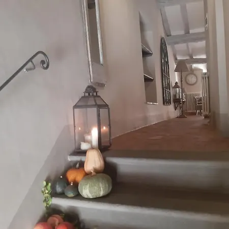 Shabby Chic House Apartment