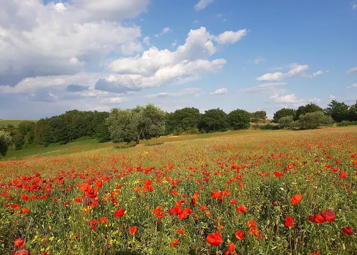 Shabby Chic House Apartment *